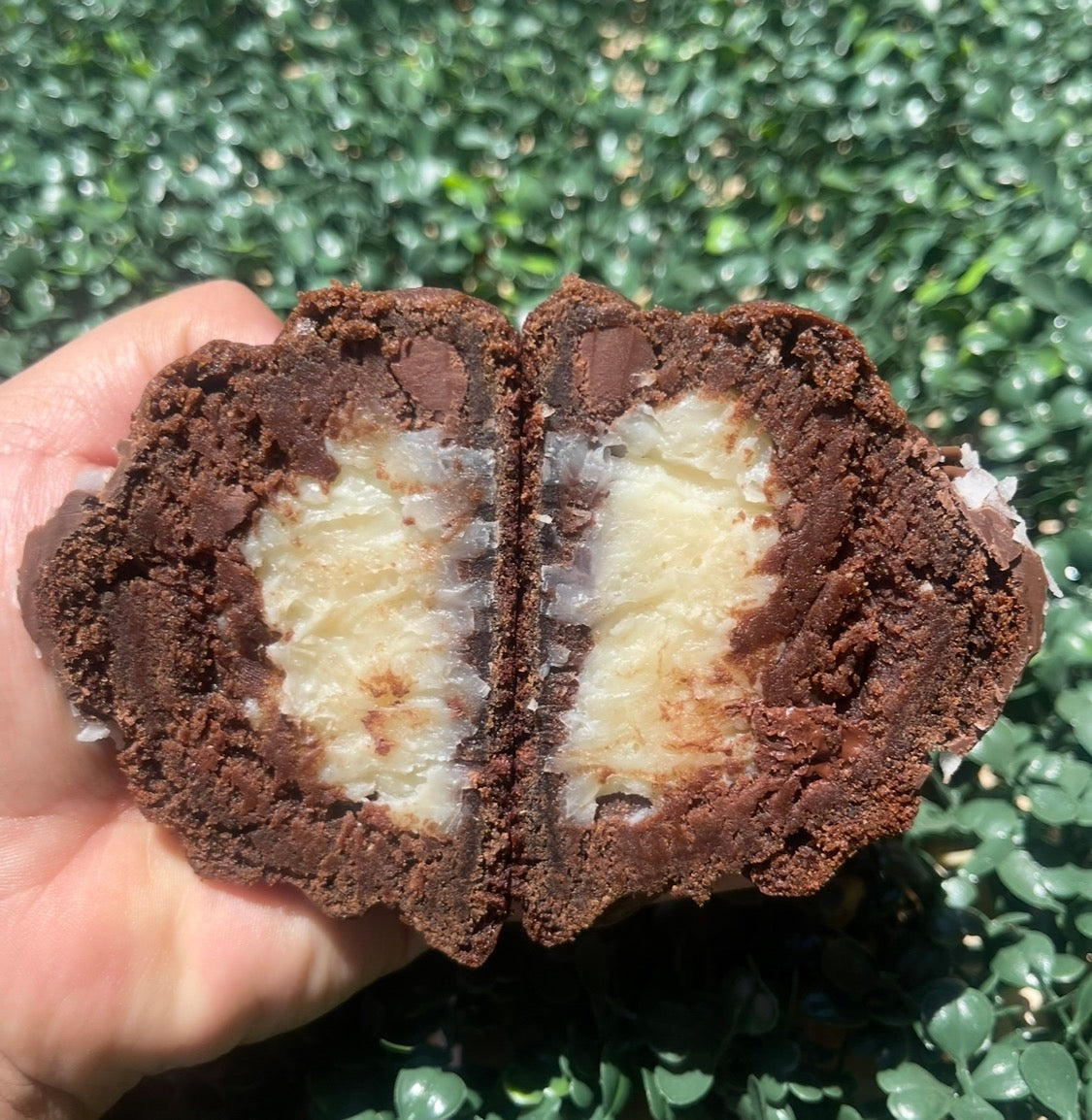 Chocolate Coconut Cream Cookie