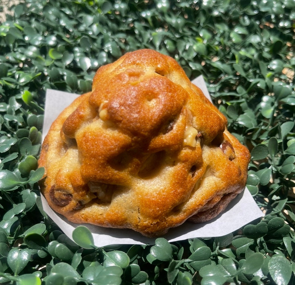 Walnut Chocolate Caramel