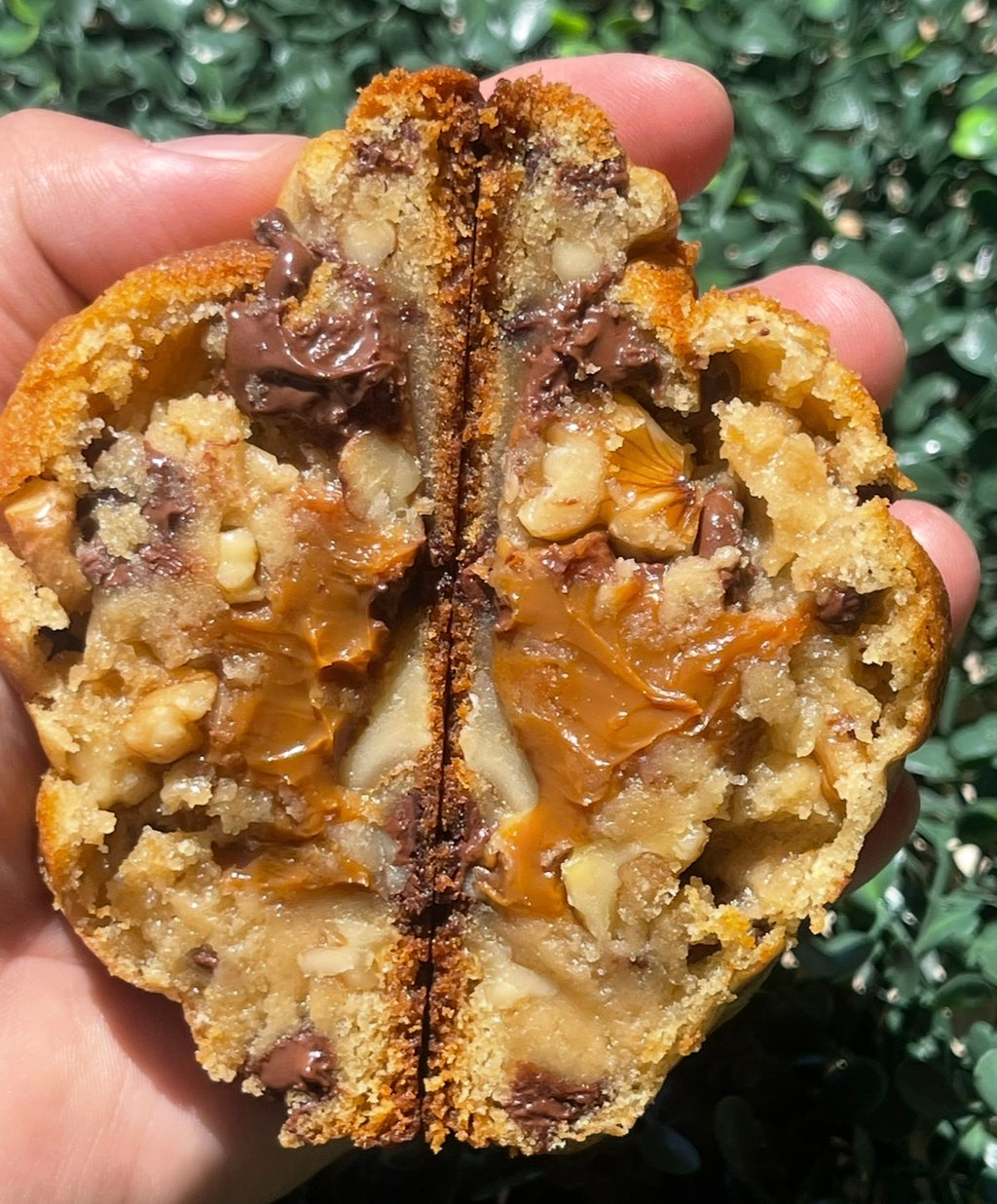 Walnut Chocolate Caramel